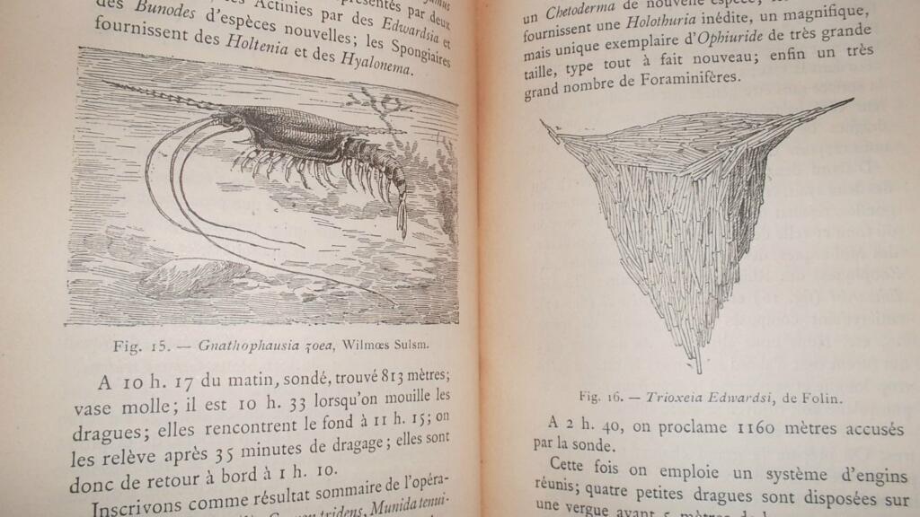 Unterwasser-Expeditionen der 'Travailleur' und 'Talisman'
