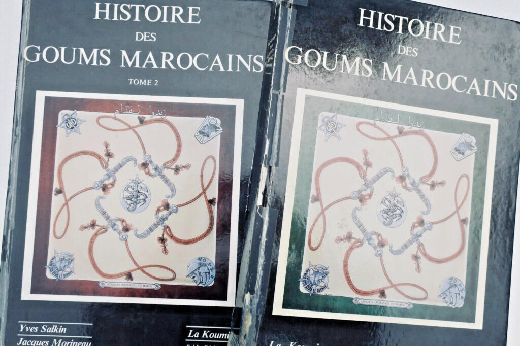 Geschichte der marokkanischen Goums