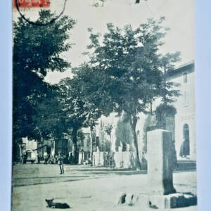 MARTRES-TOLOSANE aviation, l'aviateur Chaussée évoluant sur la ville