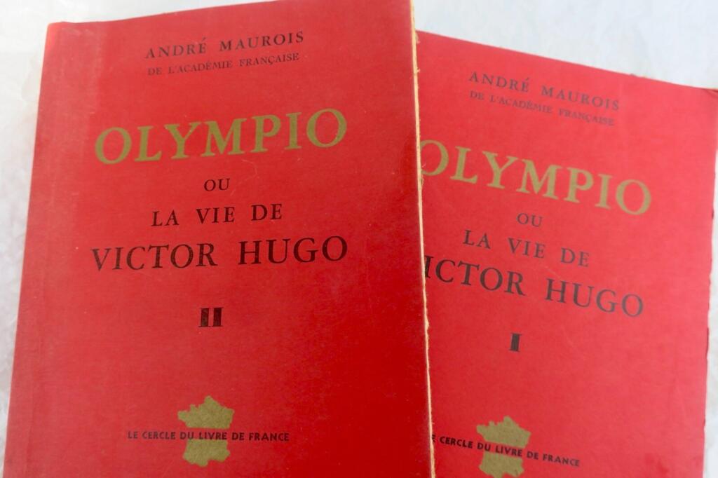 Victor Hugos Leben und Vermächtnis
