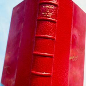 MAYNE-REID Aventures de mer et de mer, Le petit loup de mer HETZEL