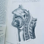 Medizinisches Physikhandbuch 1869