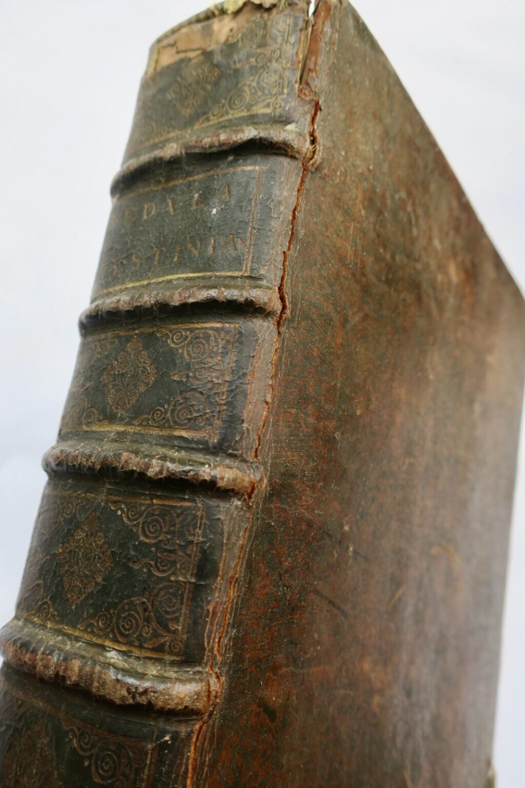 Roman Civil Law Digest Explained