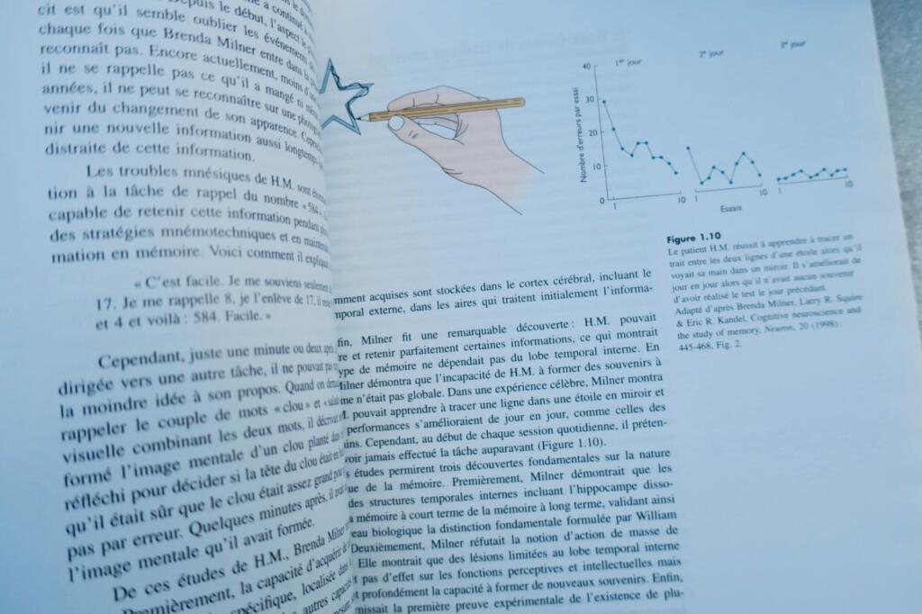 mémoire De l&rsquo;esprit aux molécules