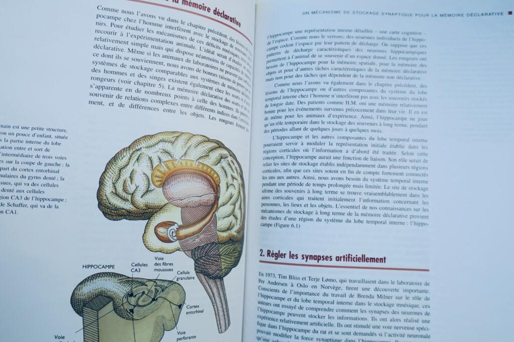 mémoire De l&rsquo;esprit aux molécules