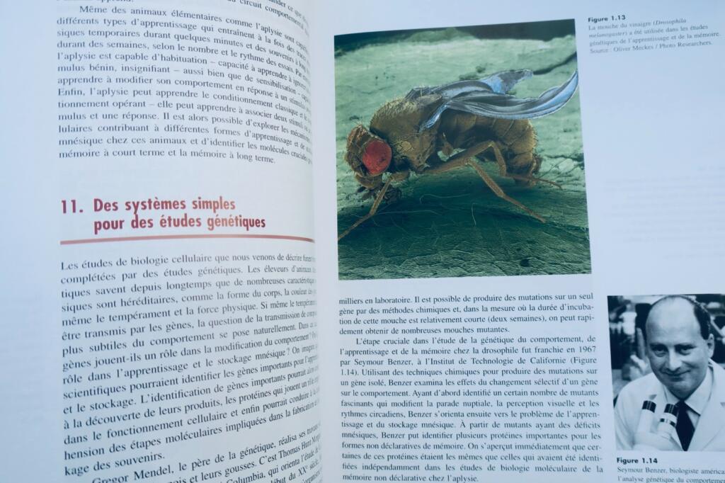 mémoire De l&rsquo;esprit aux molécules