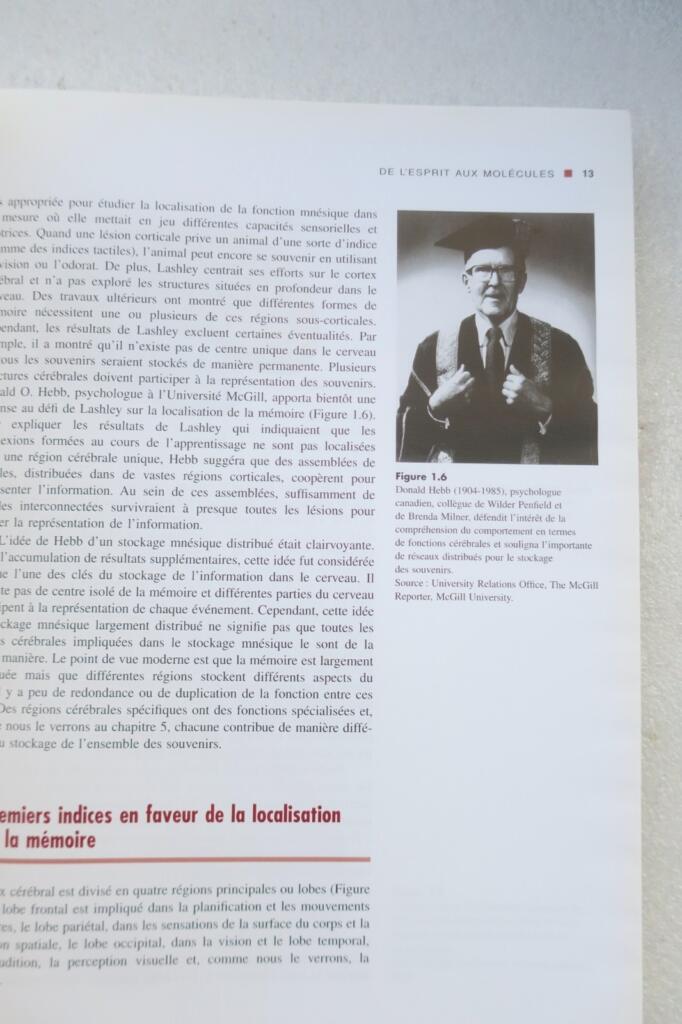 mémoire De l&rsquo;esprit aux molécules