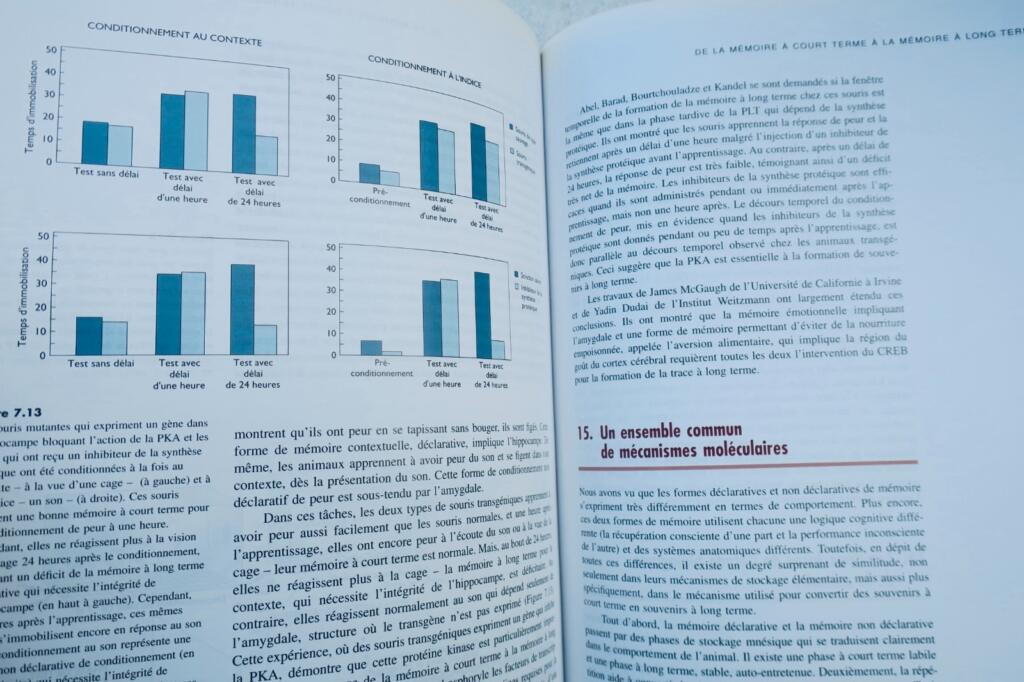 mémoire De l&rsquo;esprit aux molécules