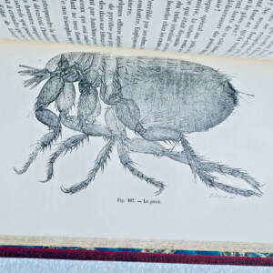 MERVEILLES DU MONDE INVISIBLE mini 1880