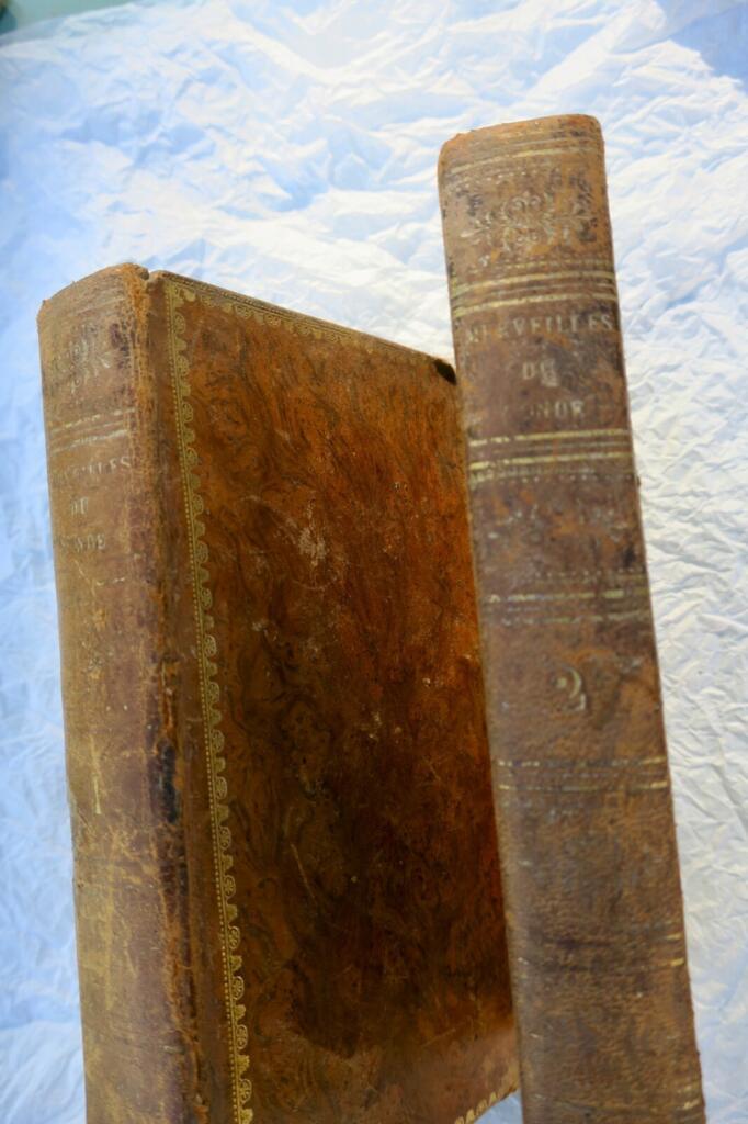 Marvels of Nature and Human Craftsmanship (1829)