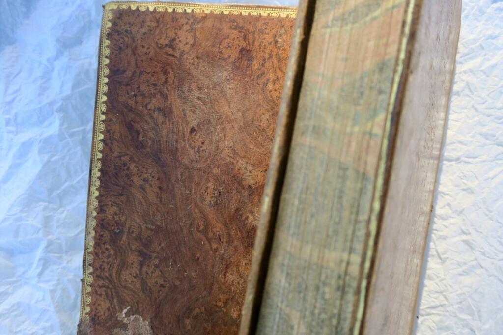 Marvels of Nature and Human Craftsmanship (1829)