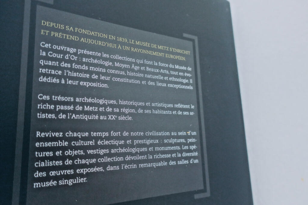 Metz Goldener Hof Museum: Gesichter einer Sammlung