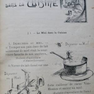 Miel le miel ses usages et ses propriétés 1912