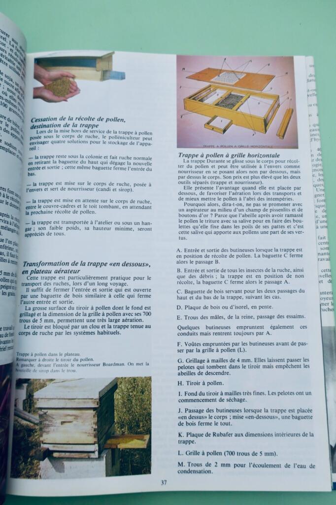 Beekeeping guide: 40 lessons to start a hive