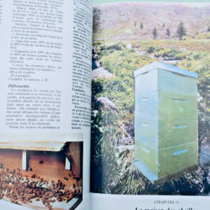 Miel Un rucher naît ( 40 leçons d'apiculture )