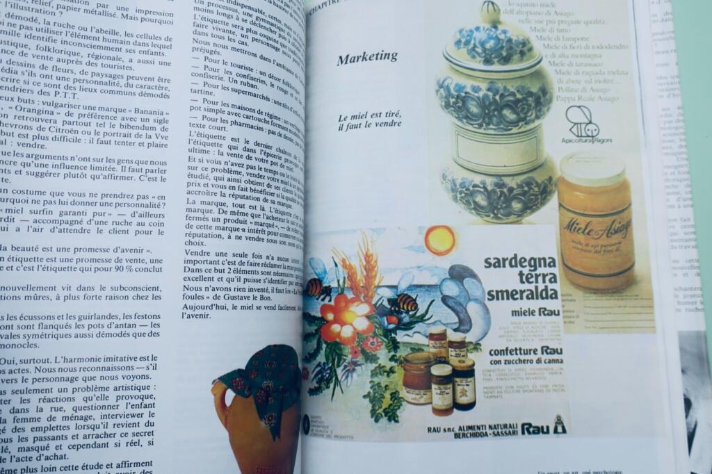 Beekeeping guide: 40 lessons to start a hive
