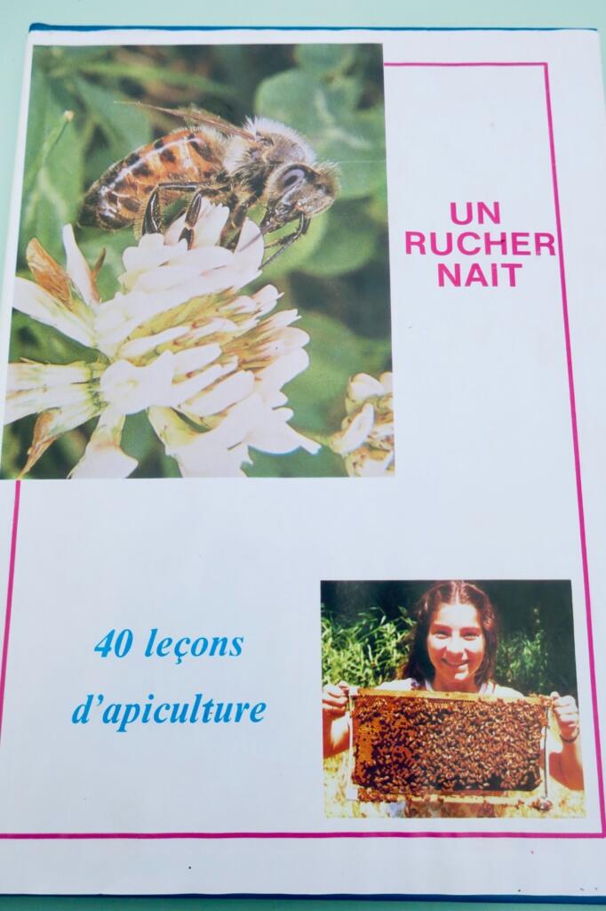 Beekeeping guide: 40 lessons to start a hive