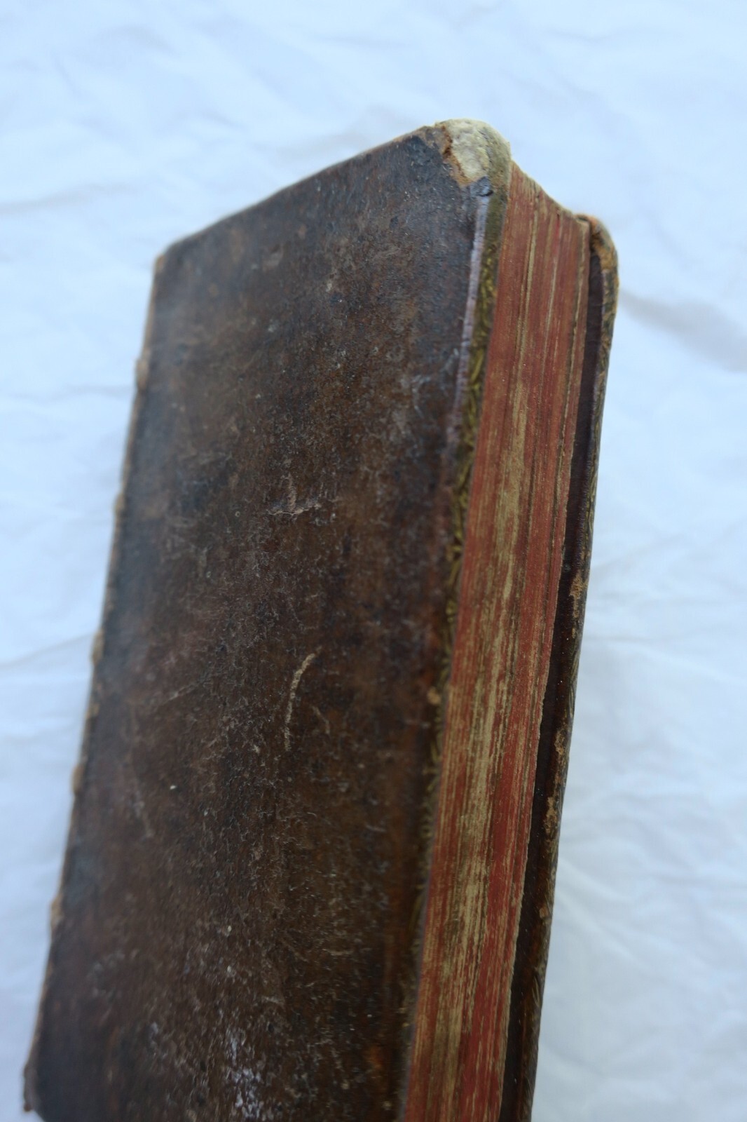 Mini APULÉE Apuleius madaurensis platonicus... 1624 – Image 3