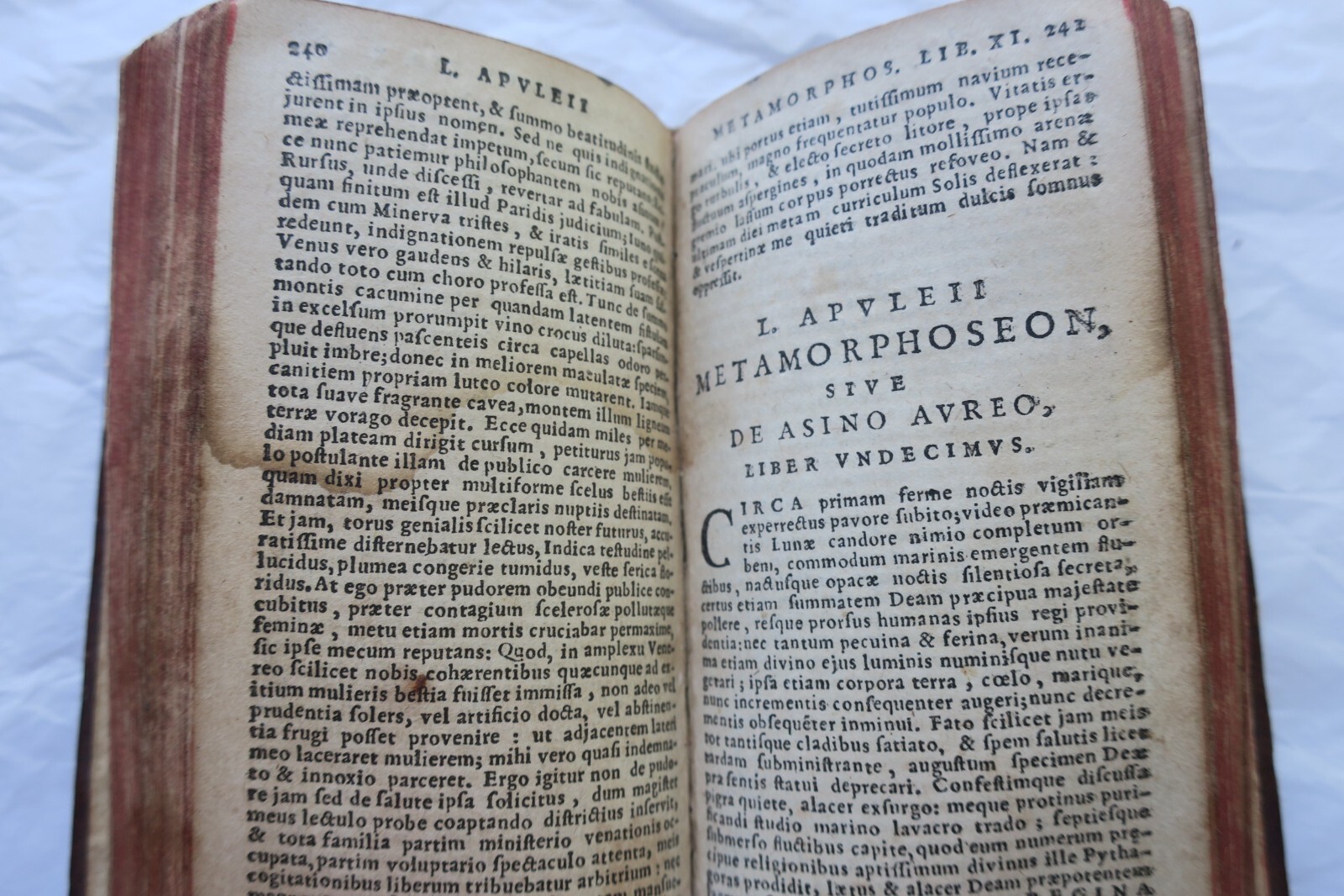 Mini APULÉE Apuleius madaurensis platonicus... 1624 – Image 6