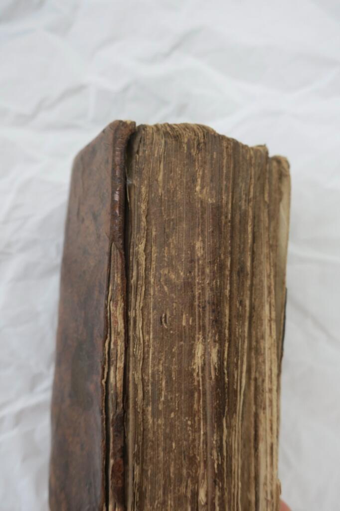 Legal Orders and Customs of Normandy