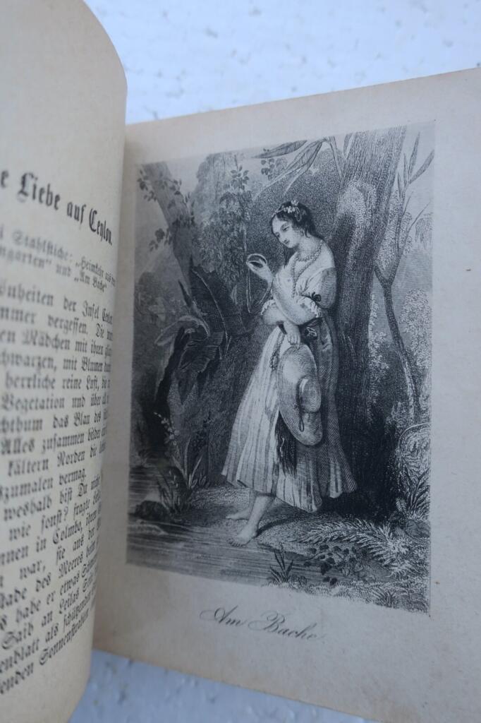 Annual miscellany with steel engravings, 1867