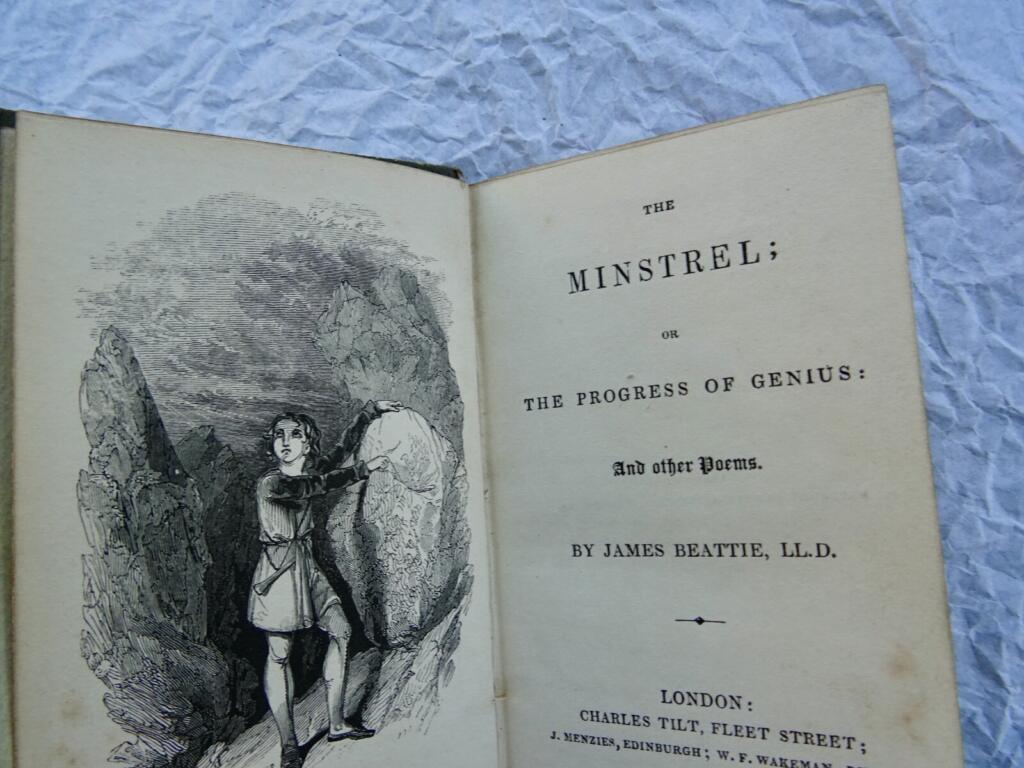 Der Minnesänger: Eine poetische Reise künstlerischer Entwicklung