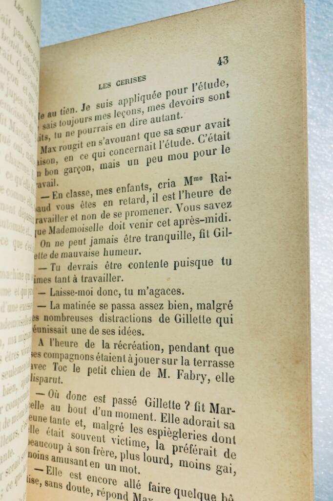 Mme RIBOULET – Les Idées de Gillette