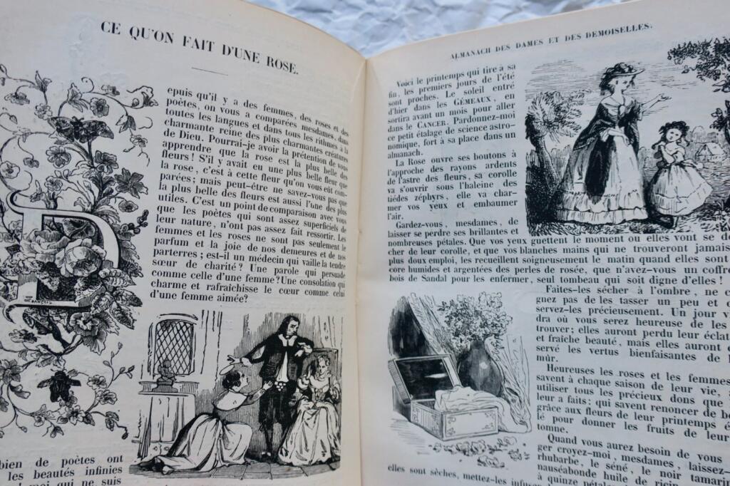 Women's Fashion & Society Almanac 1851-1904