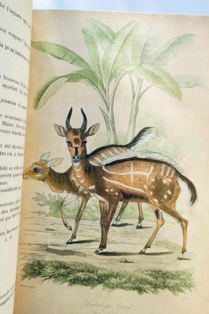 Modezeitschrift von 1864-1870