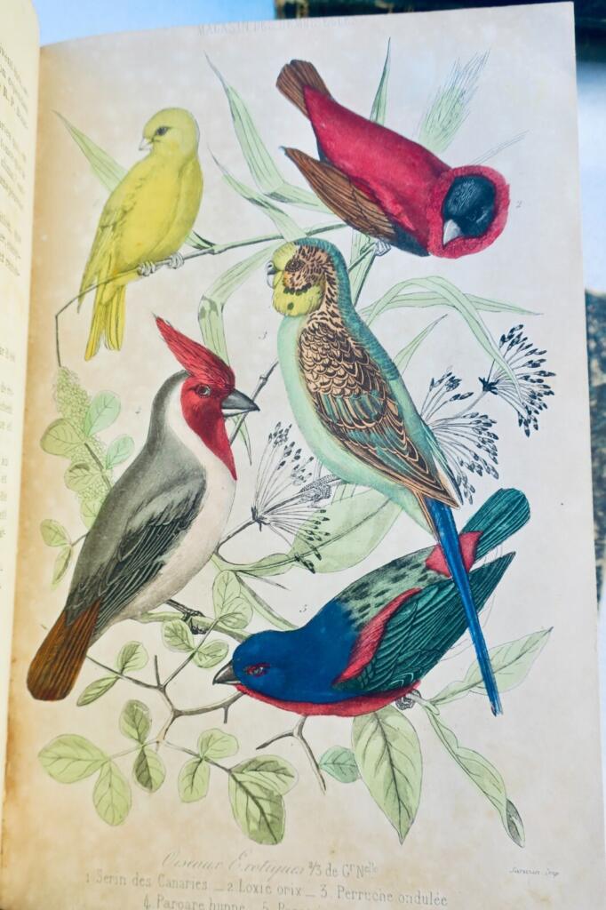 Modezeitschrift von 1864-1870