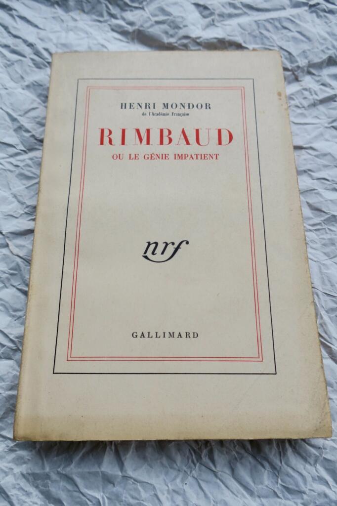 Rimbaud: Portrait of an Impatient Genius