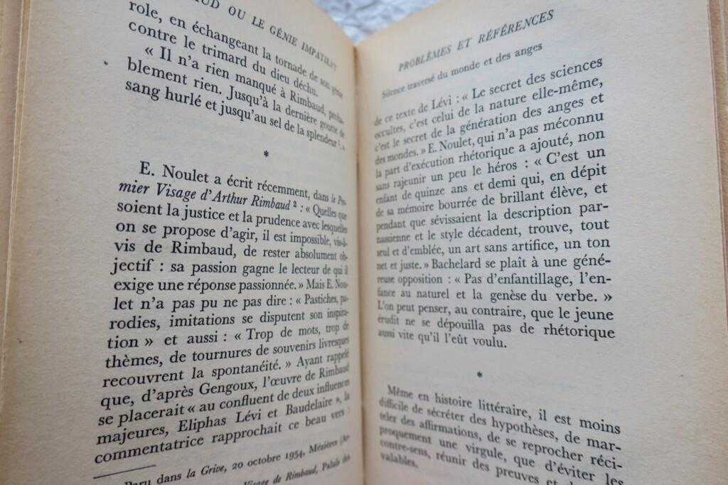 Rimbaud: Portrait of an Impatient Genius