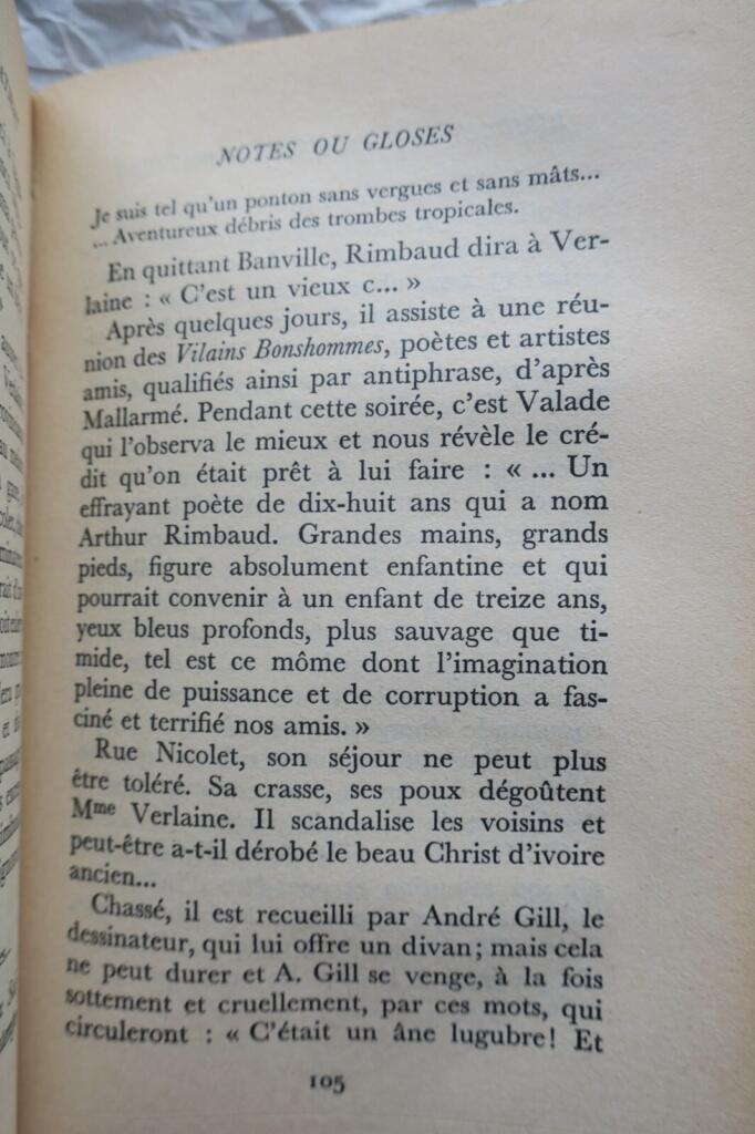 Rimbaud: Portrait of an Impatient Genius
