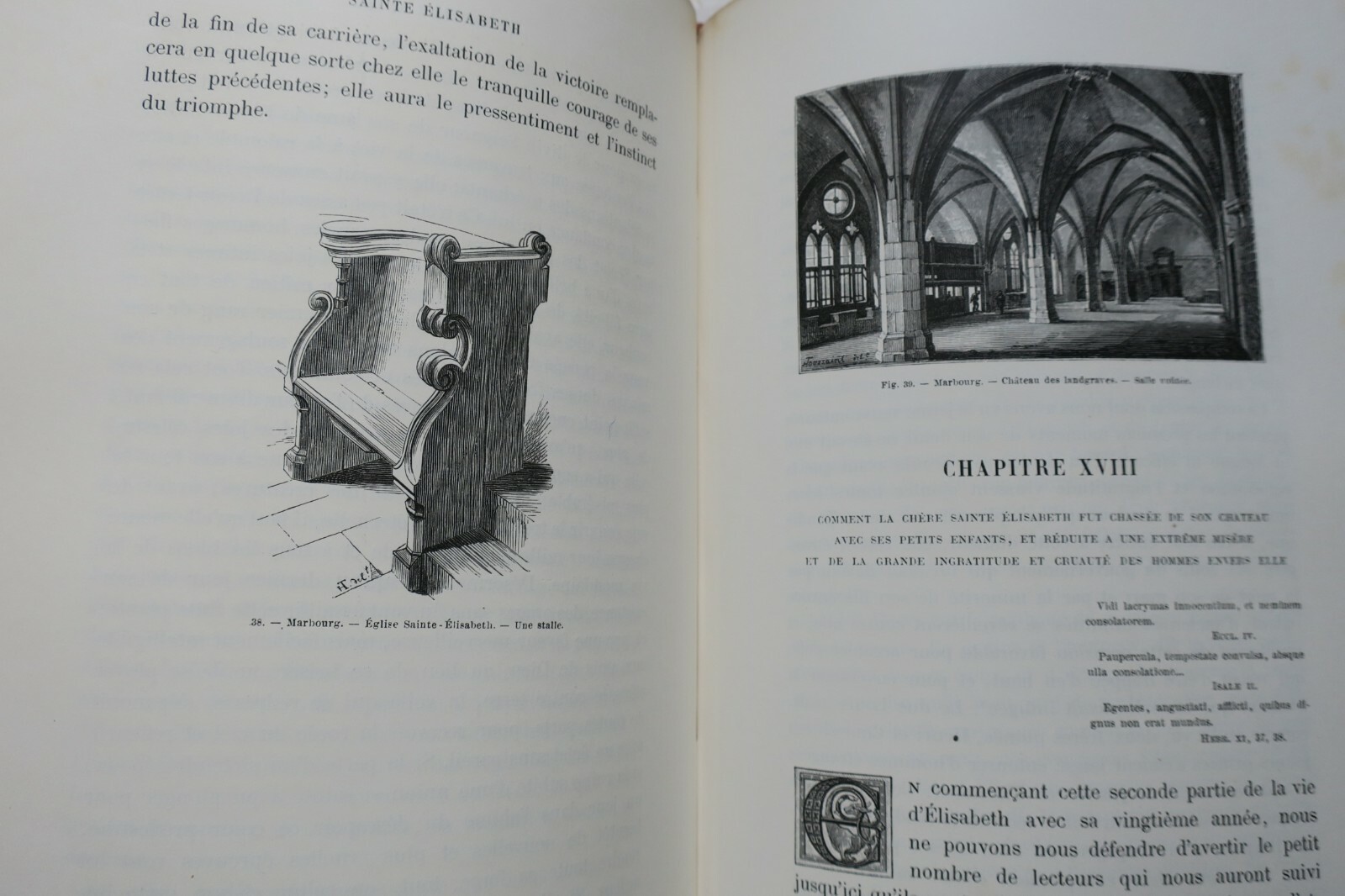 蒙塔朗贝尔伯爵《圣伊丽莎白·德·匈牙利》1893年版 - Image 8