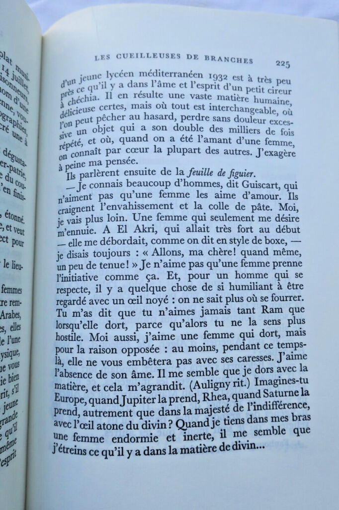 North African Quest and Passion