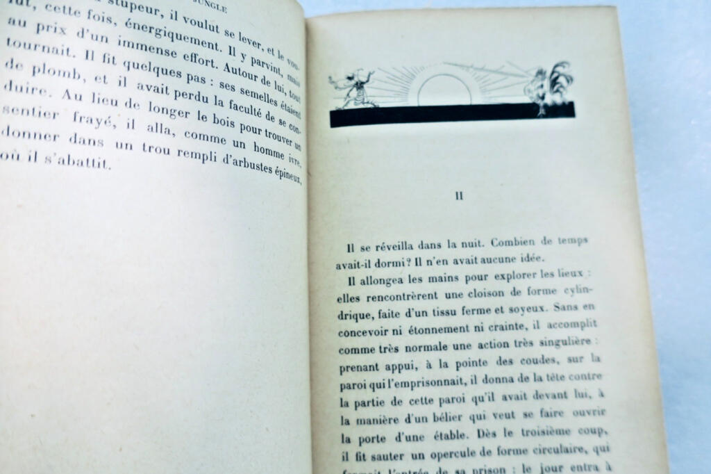 MOREL MAURICE. PETITE JUNGLE Illustrations de Félix Lorioux 1928