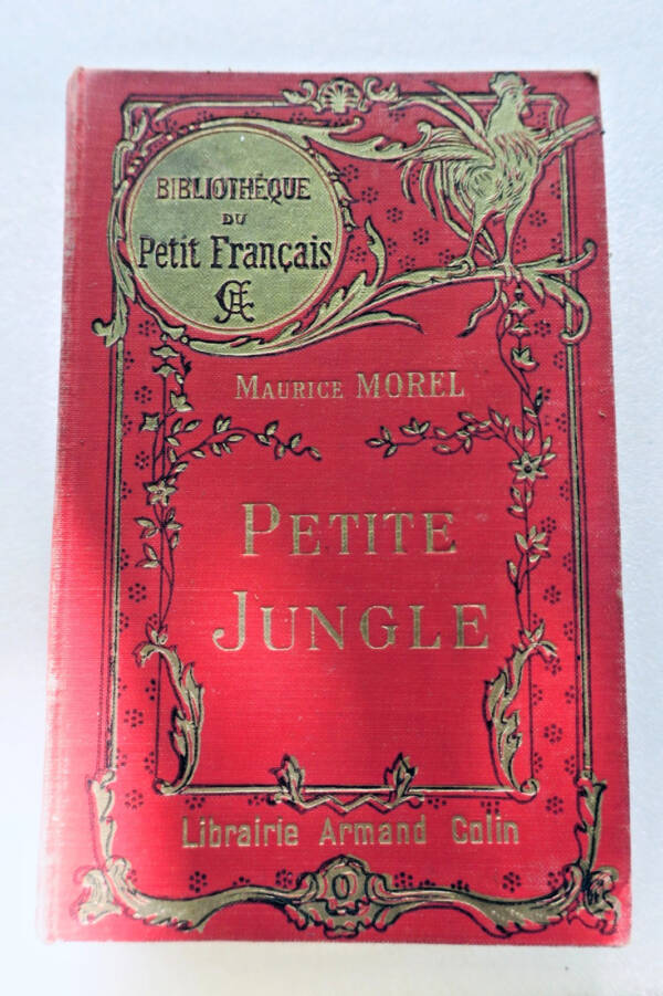 A journey through a whimsical jungle