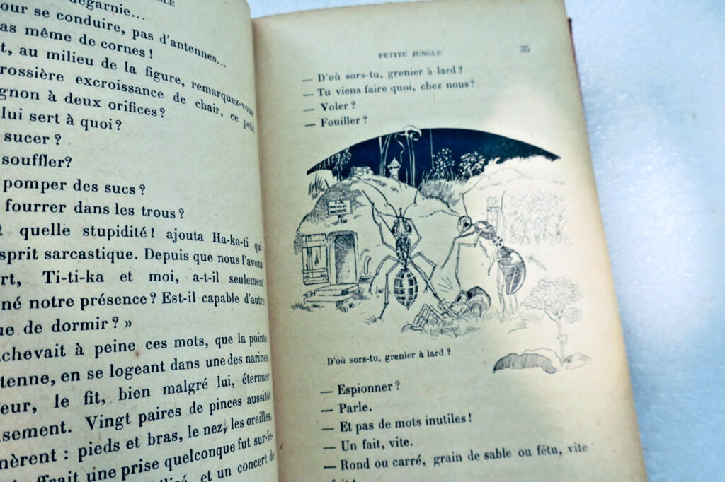 MOREL MAURICE. PETITE JUNGLE Illustrations de Félix Lorioux 1928