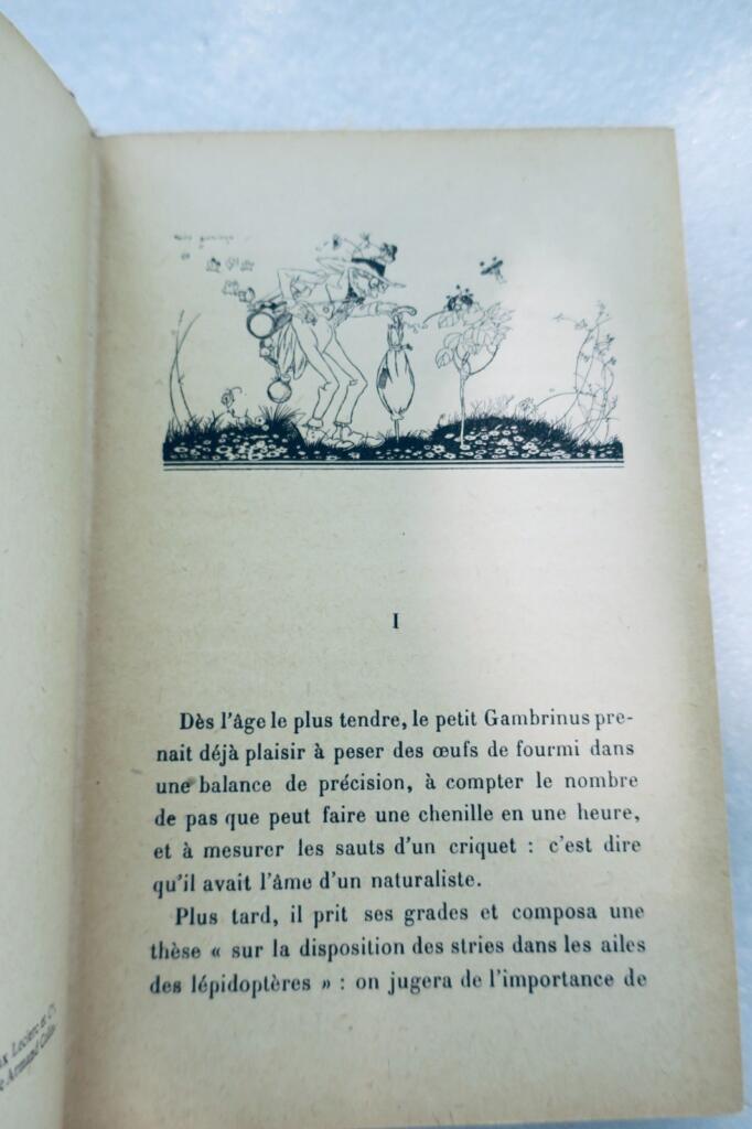 MOREL MAURICE. PETITE JUNGLE Illustrations de Félix Lorioux 1928