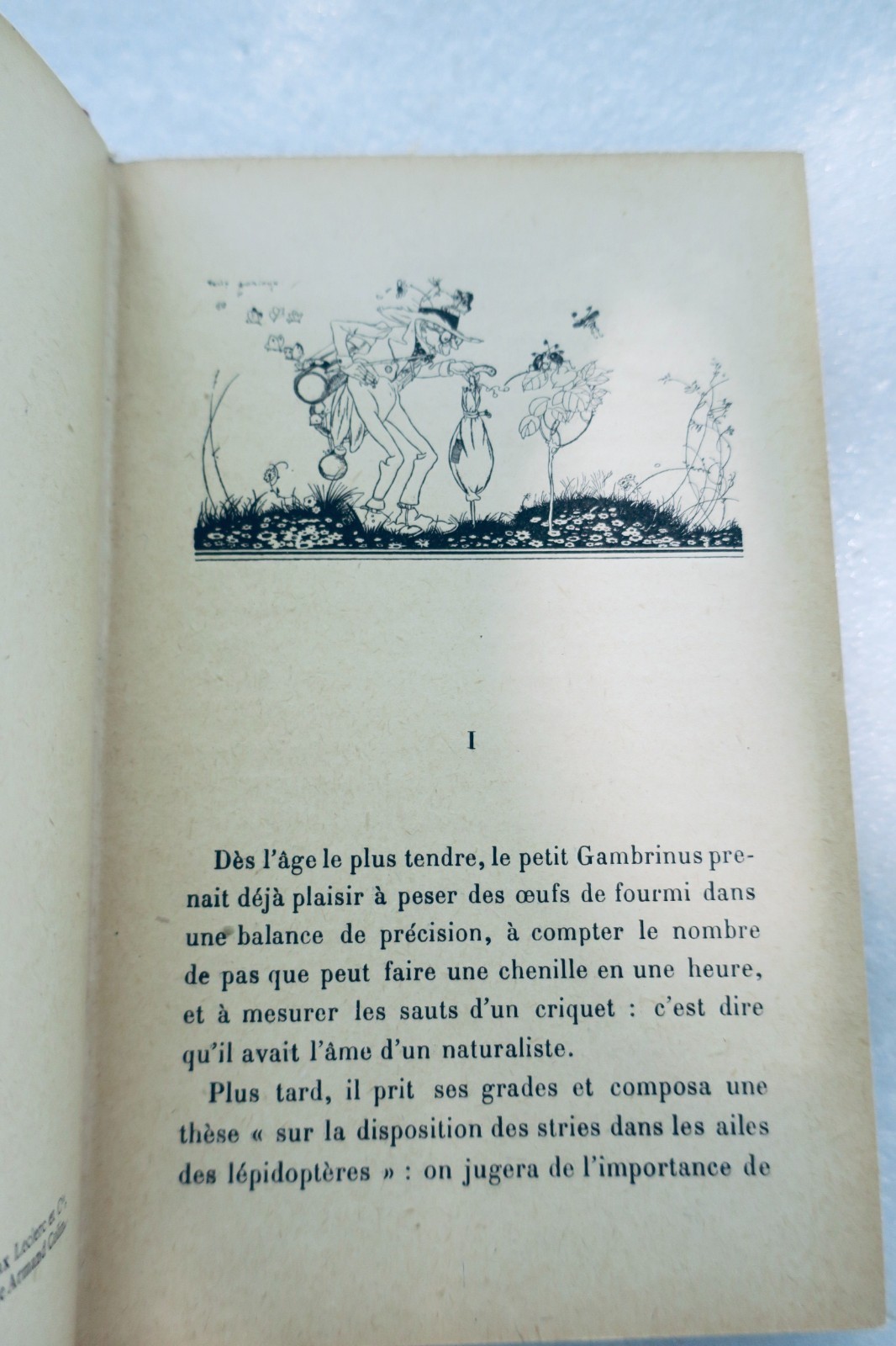 A journey through a whimsical jungle – Image 4