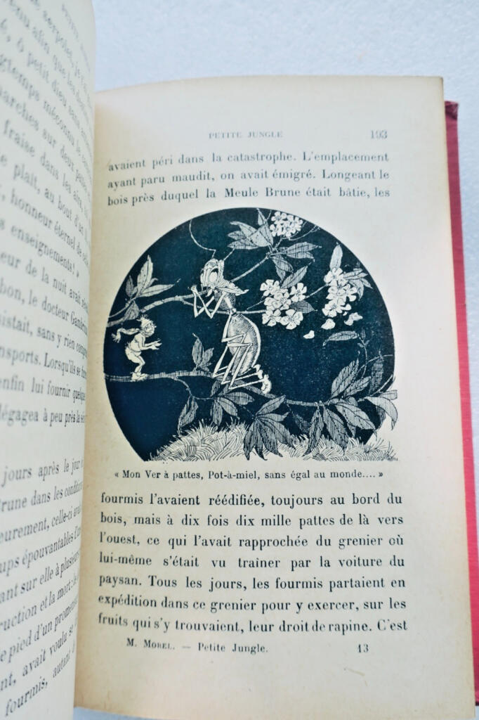 MOREL MAURICE. PETITE JUNGLE Illustrations de Félix Lorioux 1928