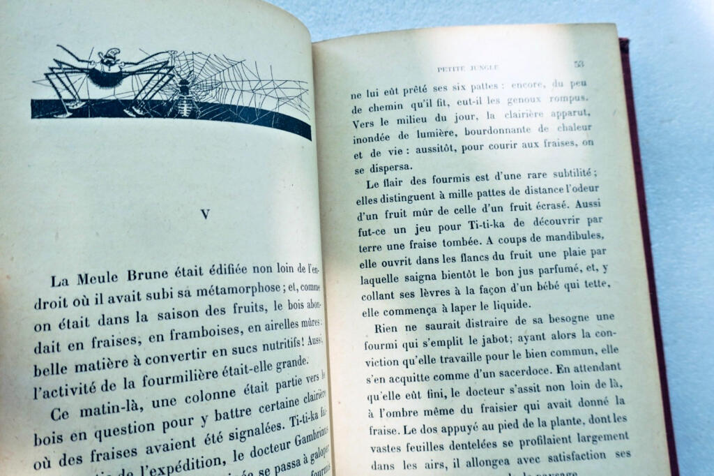 MOREL MAURICE. PETITE JUNGLE Illustrations de Félix Lorioux 1928