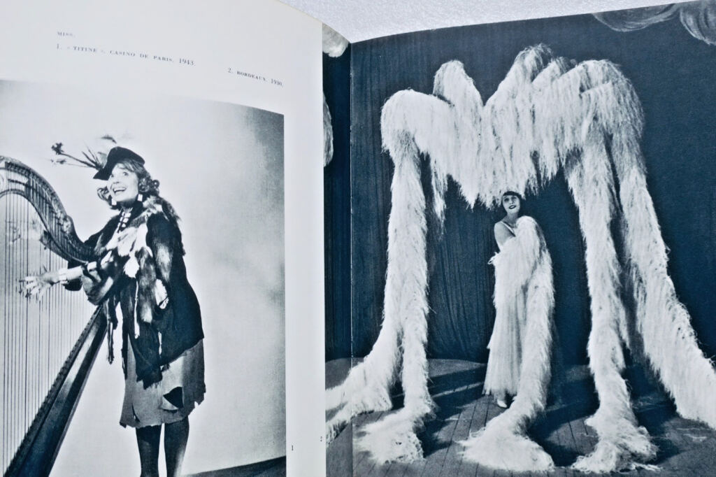 Music-Hall. A History of the folies du