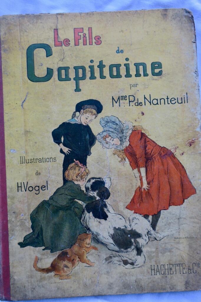 Der Kapitänsohn: Ein illustriertes Abenteuer aus dem 19. Jahrhundert