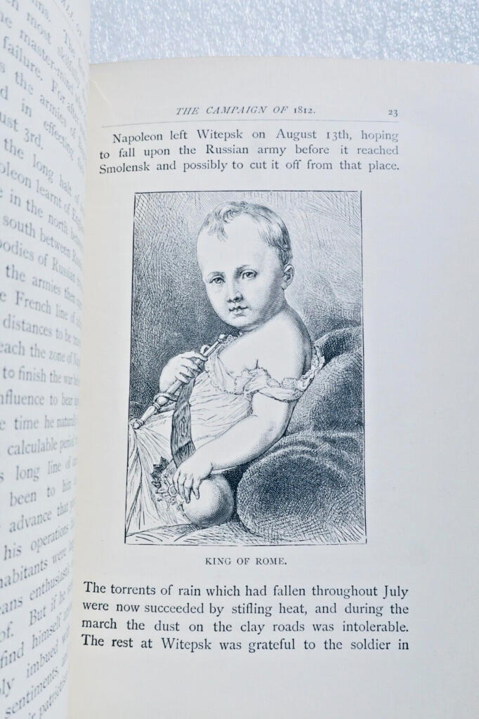 Napoléon Wolseley, Garnet Wolseley The decline and fall of Napoleon