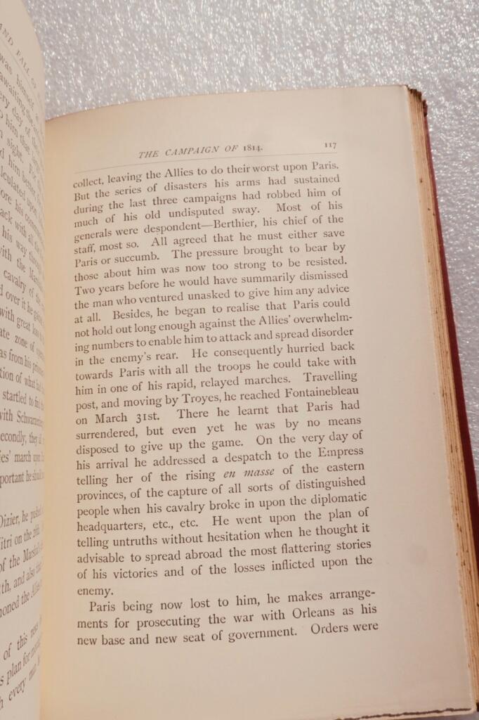 Napoléon Wolseley, Garnet Wolseley The decline and fall of Napoleon