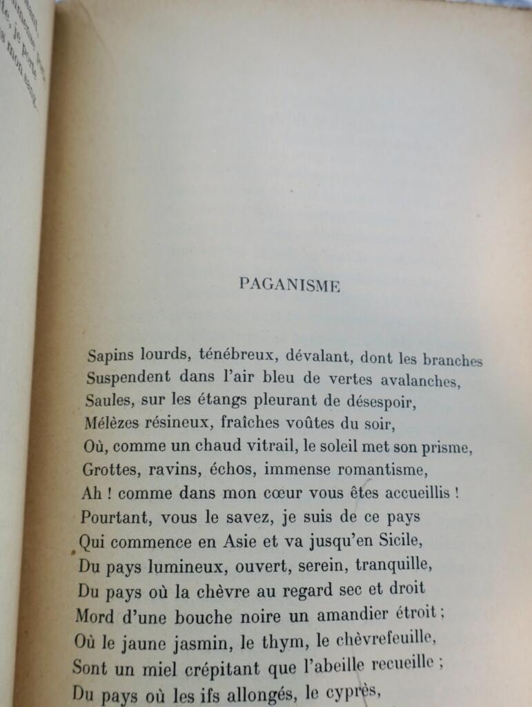 Literarische Erkundung der Gräfin Noailles