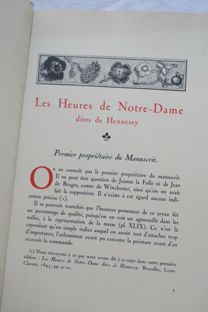 Illustrated work on Notre Dame