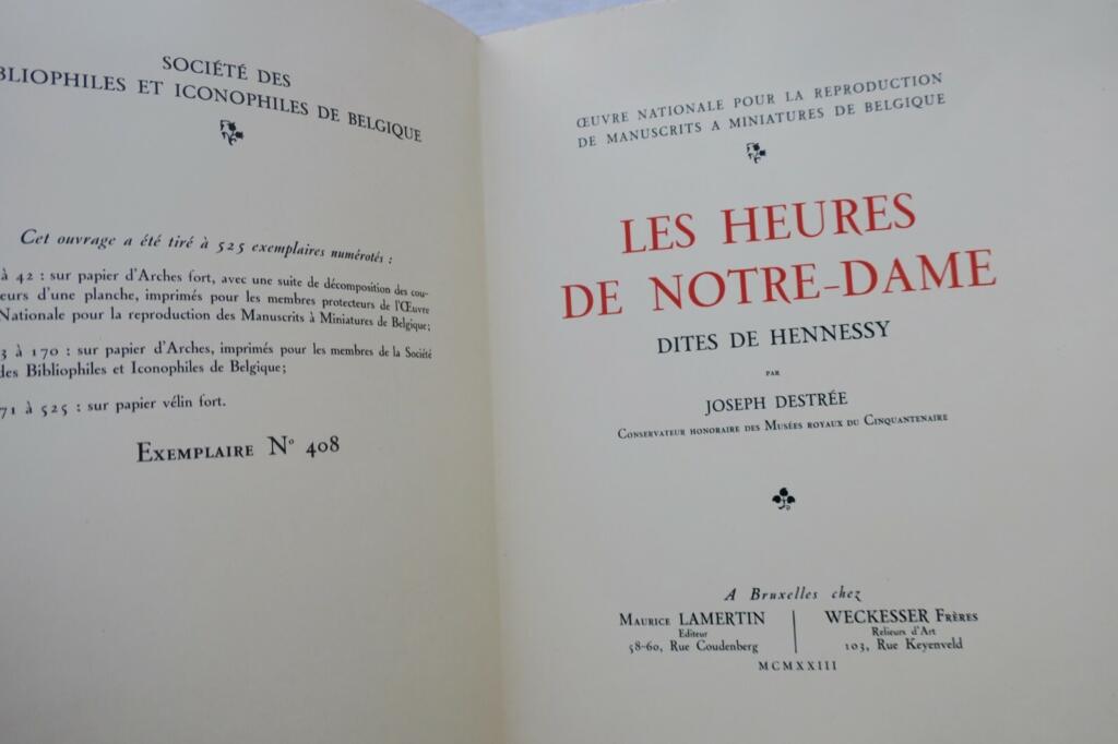 Illustrated work on Notre Dame