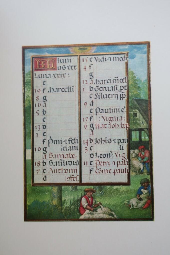 Illustrated work on Notre Dame